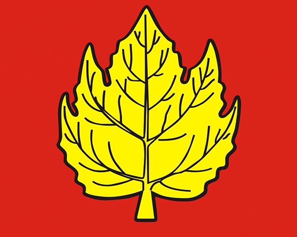 Golden Chinar